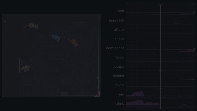 demo-ethogram.gif